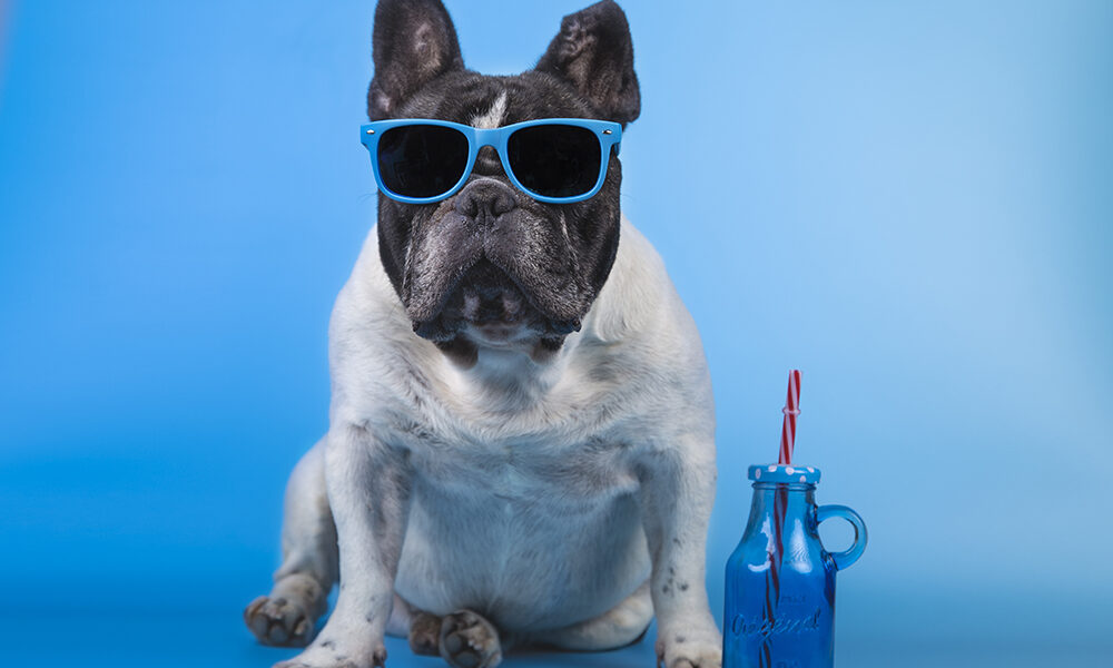 ser mais criativo em 10 passos