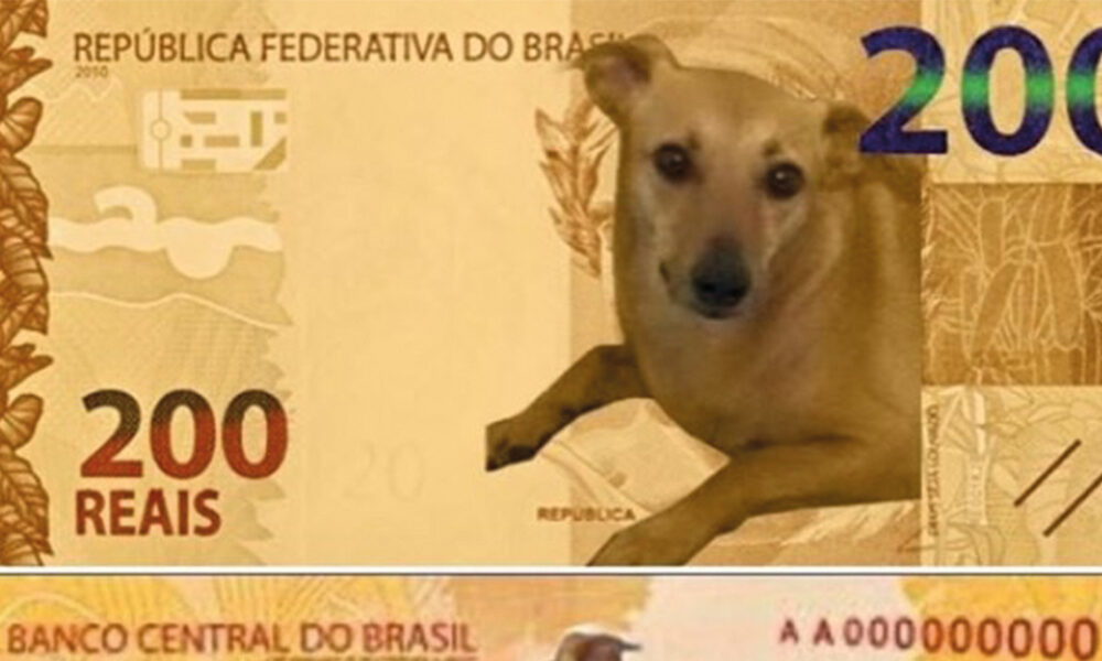Mais de 50 mil assinaturas para que cão caramelo estampe a nota de R$ 200,00