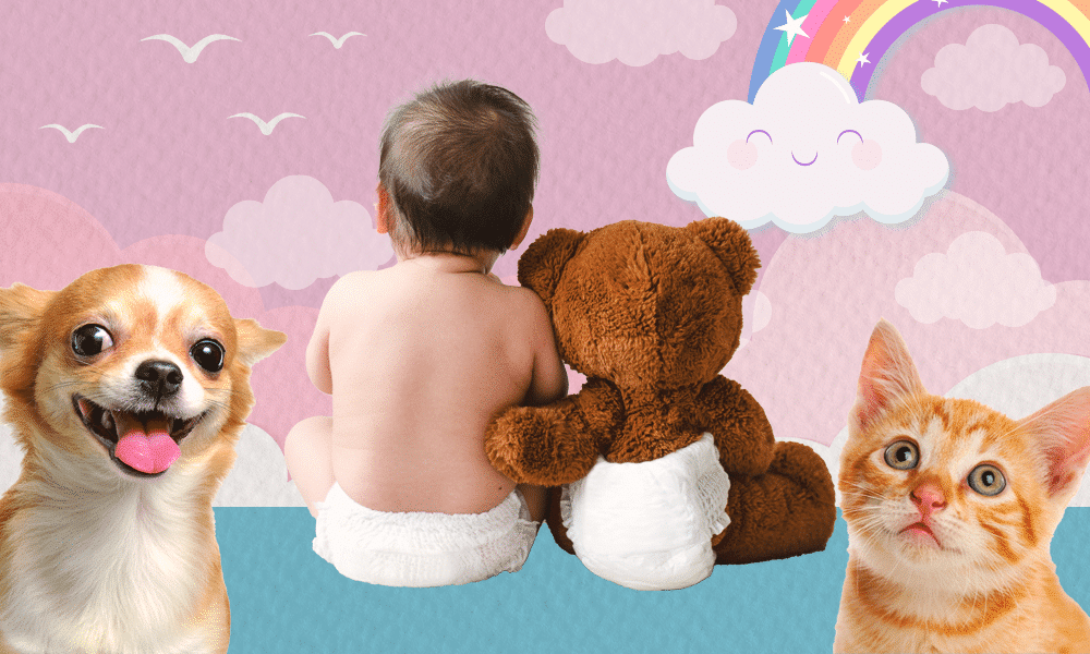 Iti malia! A ciência e o mercado da fofura