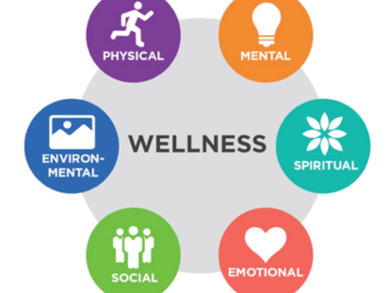 wellness, saúde, bem estar, exercícios, sejacriativo, destaque, destaques