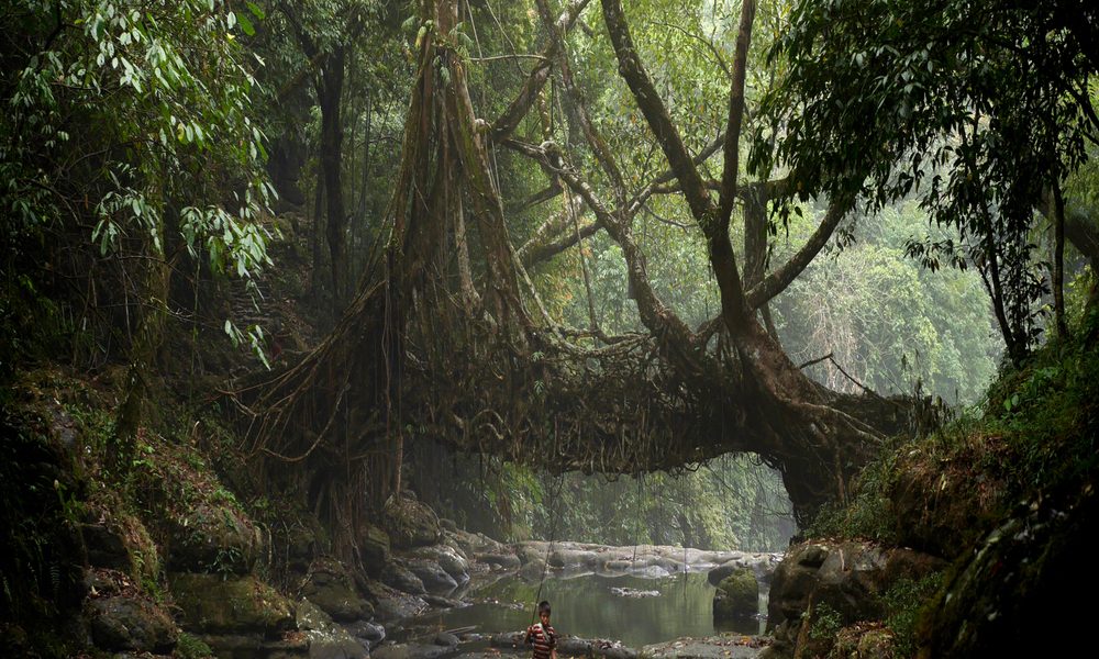 mudanças climáticas