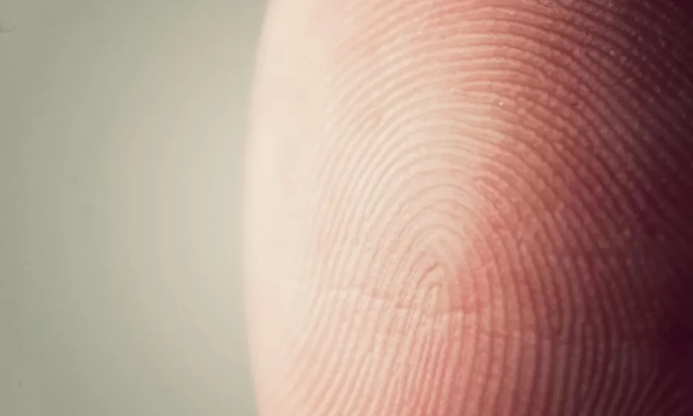 Seres únicos: Veja como são formadas as digitais de um bebê na gestação