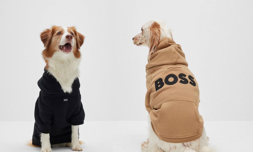 HUGO BOSS lança DOGS COLLECTION, bora conferir