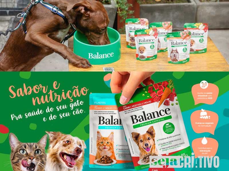 sachês úmidos para cães e gatos