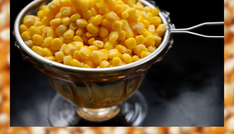 Milho: benefícios e o por quê você deve incluí-lo em sua alimentação