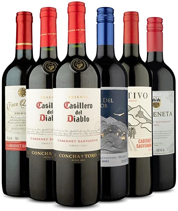 Os Melhores Vinhos para Aproveitar o Frio: Descubra grande marcas e oportunidades