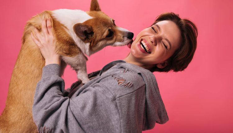 7 motivos por que os pets lambem seus donos