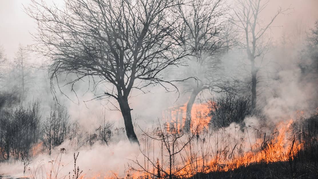 incêndios florestais dicas