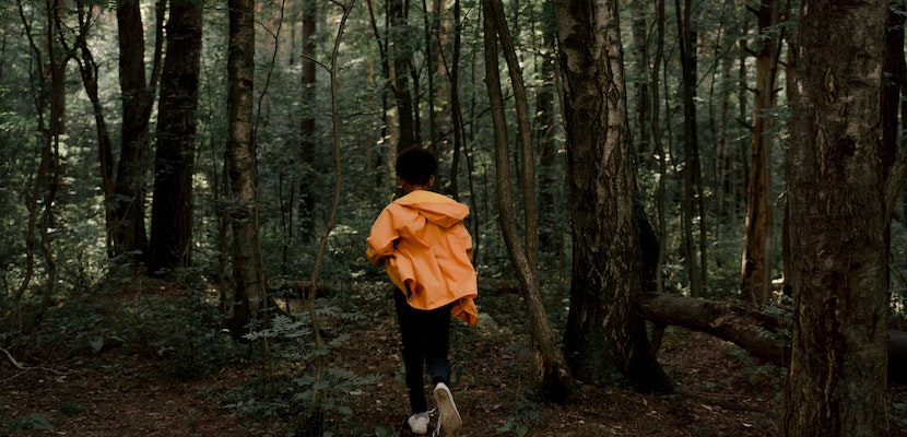 pessoas perdidas na natureza