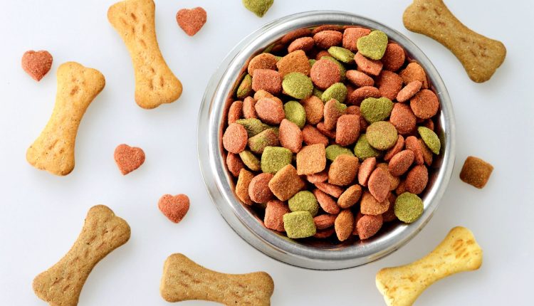 Irregularidades em famosa marca de rações levam Ministério da Agricultura a agir