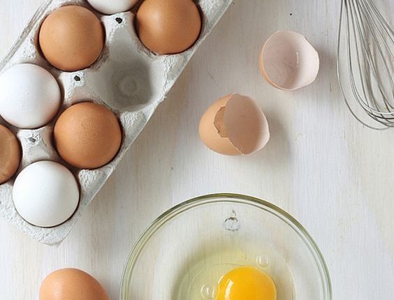 2 receitas para o sucesso: Entenda porque o ovo é um grande aliado das crianças e adultos