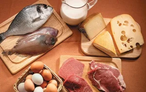 proteínas concentradas