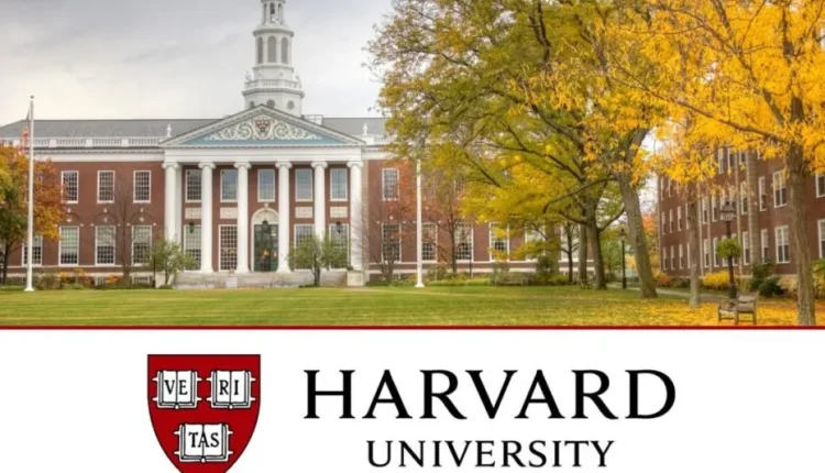 ESTES alimentos ajudaram você a emagrecer, segundo 1 professor de Harvard