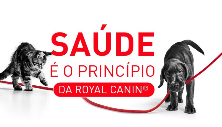Royal Canin apresenta o Guia Prático de Obstetrícia e Pediatria Felina, confira