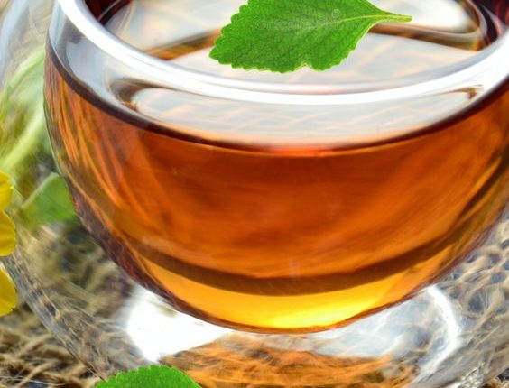 Entenda POR QUE VOCÊ DEVE TOMAR 1 chá de boldo e os benefícios deste para a sua saúde