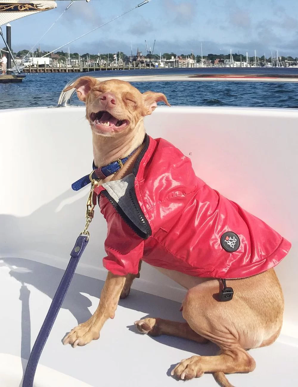 Foto: @thetravelingtuna (Reprodução/Instagram)