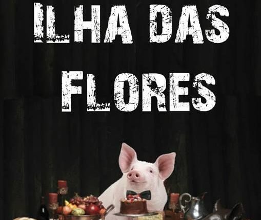 Os melhores documentários Brasileiros