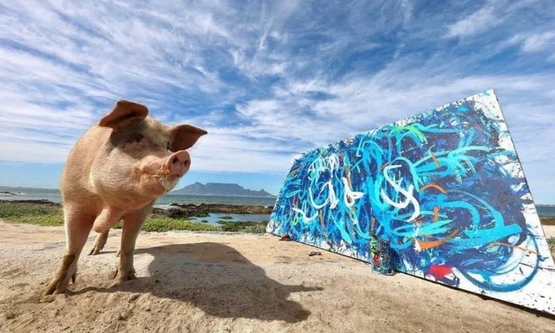 pigcasso