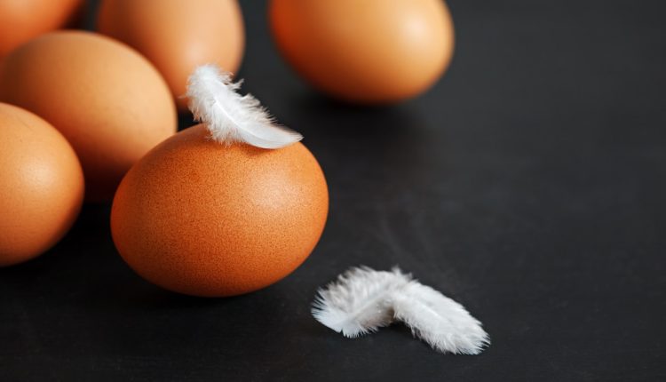 quem veio antes: o ovo ou a galinha?