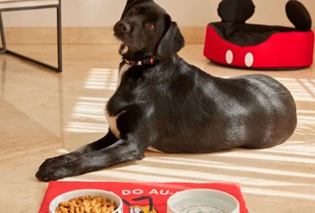Riachuelo investe forte na linha PETS com coleção especial da Disney, confira