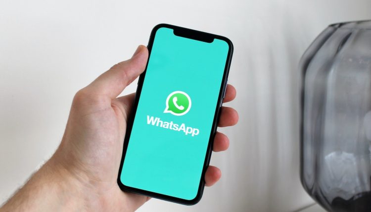 vídeo redondo no whatsapp