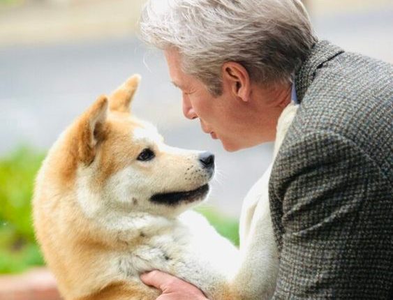 Segredo Revelado: Saiba Quanto Tempo Seu Cão se Lembra de Você - Prepare-se para se Emocionar!