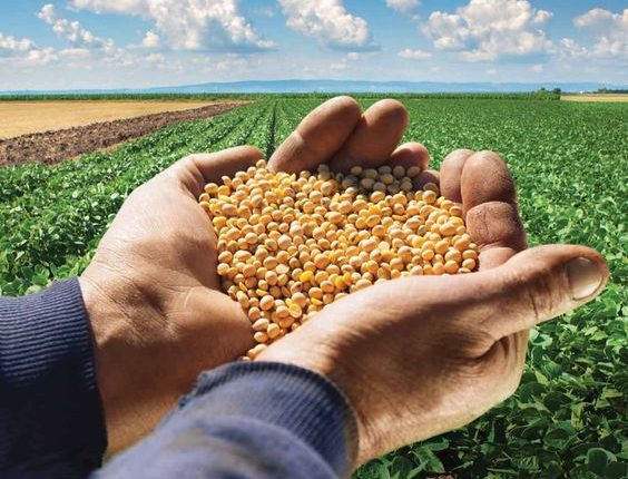 As 100 Cidades Brasileiras Mais Ricas do Agronegócio