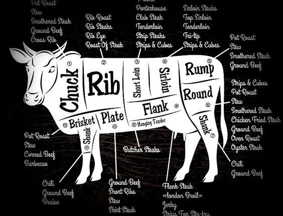 Conheça o mapa do boi - guia definitivo para VOCÊ escolher melhor os cortes de carne bovina e ser o verdadeiro REI DO GADO