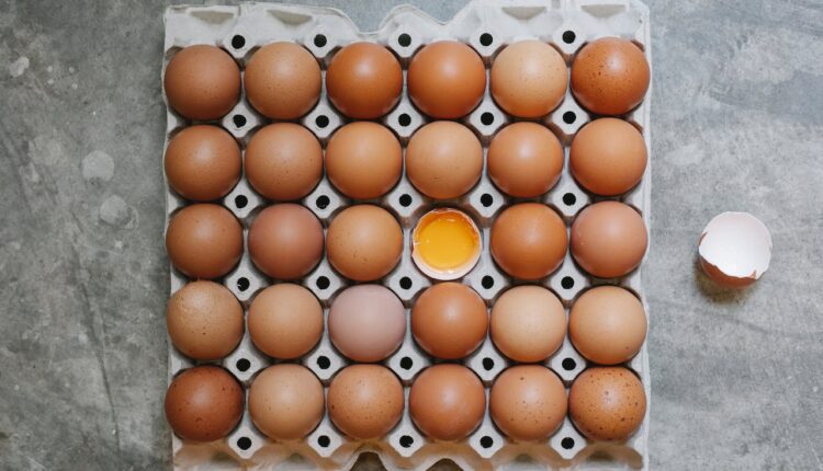 5 alimentos para substituir o ovo com muita proteína!