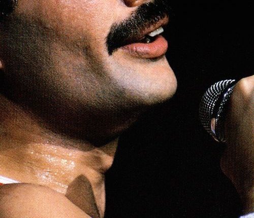 Freddie Mercury canta evidências