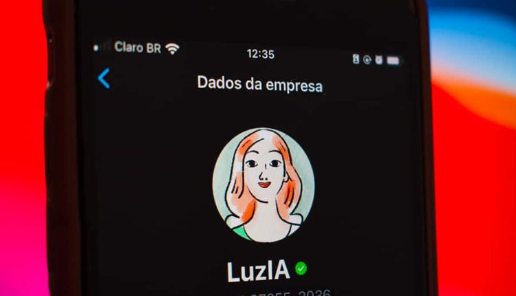 Explore SUPERPODERES da LuzIA no seu WhatsApp: 5 comandos para testar e agradecer depois ;)