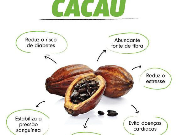 5 Receitas com Cacau para Transformar sua Dieta em uma Experiência de Sabor