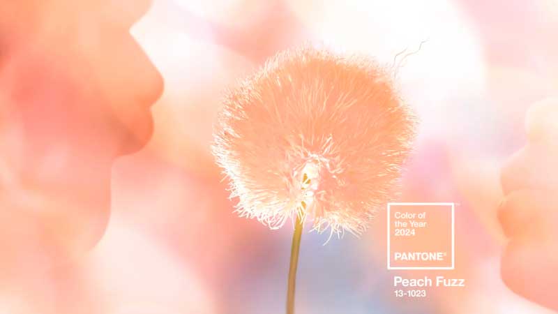 Peach Fuzz 2024: Saiba como inserir a Nova Cor do Ano da Pantone em Estratégias de Marketing