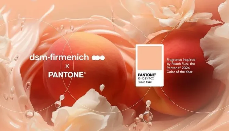 Peach Fuzz 2024: Saiba como inserir a Nova Cor do Ano da Pantone em Estratégias de Marketing