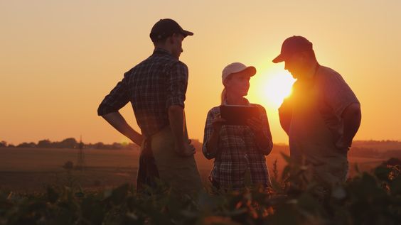 SALÁRIOS DE R$ 25 MIL: Profissões em ALTA no AGRO em 2024