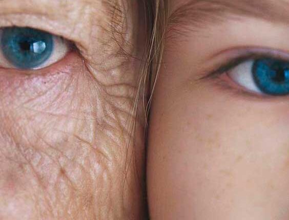 CURIOSIDADE: 5 superalimentos que retardam o envelhecimento segundo nutricionistas, confira!