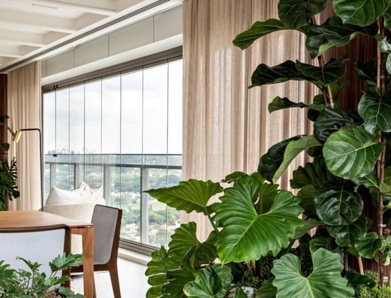 9 Plantas Perfeitas para Ter em Casa