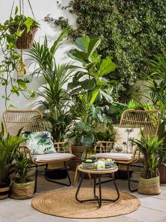 9 Plantas Perfeitas para Ter em Casa