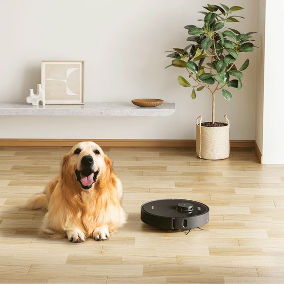 Robô Aspirador: 5 motivos para você comprar o seu agora!