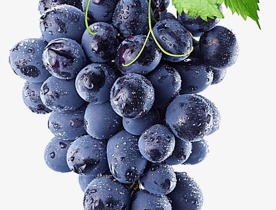 8 Benefícios Surpreendentes da Uva para sua Saúde