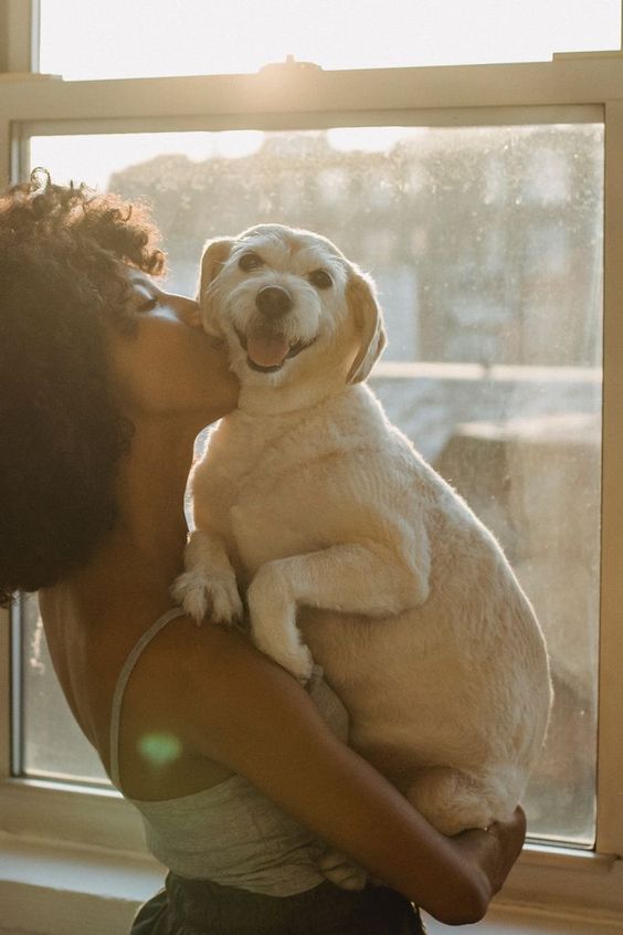 ADOTAR PET: 7 coisas levar em consideração na hora de adotar meu pet?