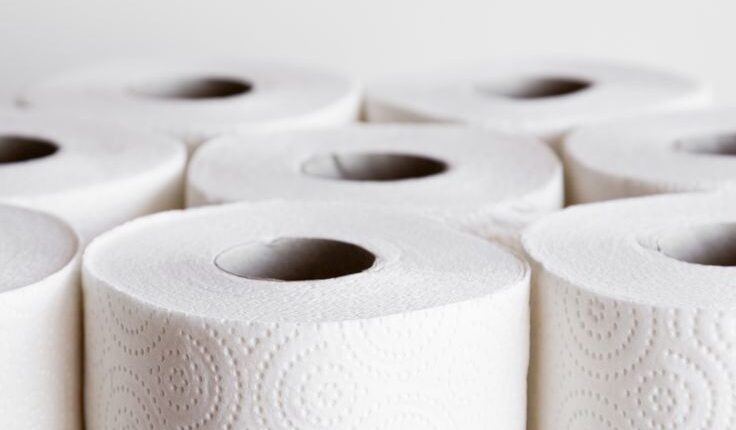 O Segredo do Papel Higiênico: Como Pendurar da Forma Certa Pode Fazer a Diferença