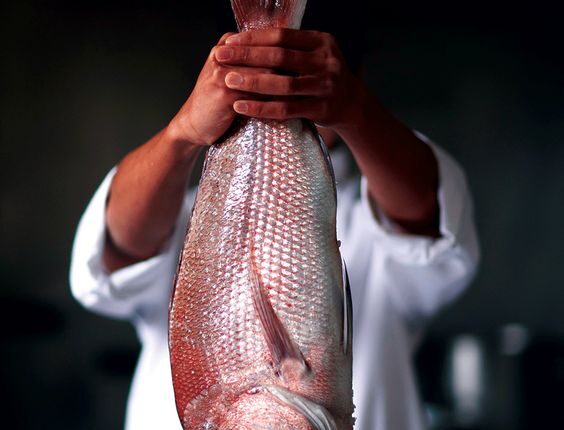 Guia para Escolher o Peixe Perfeito para a Sexta-Feira Santa (3 DICAS PRÁTICAS)