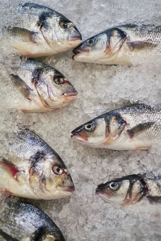 Guia para Escolher o Peixe Perfeito para a Sexta-Feira Santa (3 DICAS PRÁTICAS)