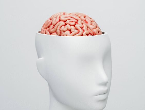 4 Temperos que Reduzem o Risco de Alzheimer e Protegem o Cérebro: A Ciência por Trás dos Alimentos