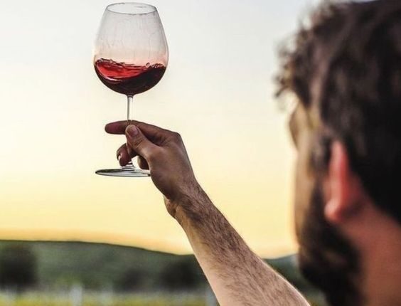 NÃO ERRE MAIS: Aprenda a escolher o vinho certo para cada situação