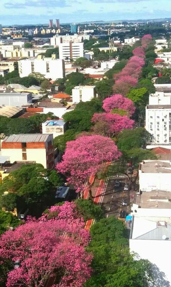 As 10 Cidades Mais Baratas do Brasil para Comprar uma Casa: Descubra Onde o Metro Quadrado é Mais Acessível!