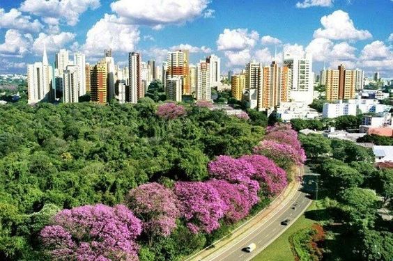 As 10 Cidades Mais Baratas do Brasil para Comprar uma Casa: Descubra Onde o Metro Quadrado é Mais Acessível!