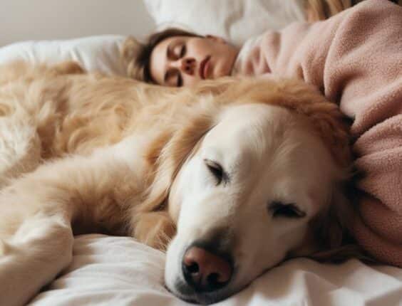 CURIOSIDADE: Dormir com seu Cachorro Prejudica no sono? Tudo que Você Precisa Saber Antes de Decidir