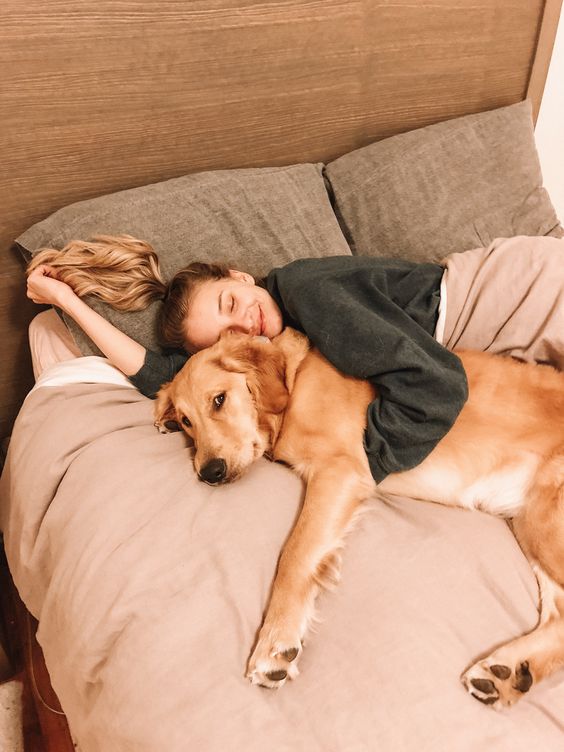 CURIOSIDADE: Dormir com seu Cachorro Prejudica no sono? Será que é uma boa ideia? Confira aqui!